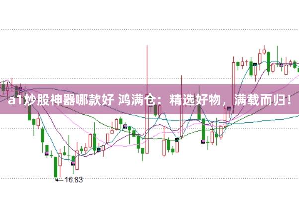 a1炒股神器哪款好 鸿满仓：精选好物，满载而归！
