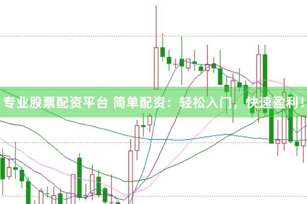 专业股票配资平台 简单配资：轻松入门，快速盈利！