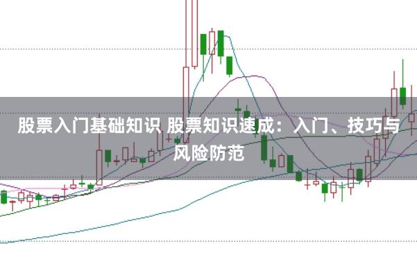 股票入门基础知识 股票知识速成：入门、技巧与风险防范