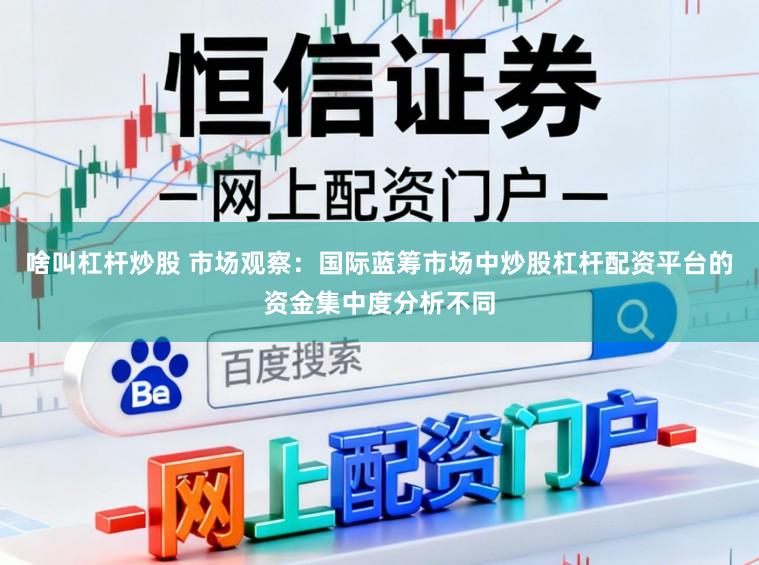 啥叫杠杆炒股 市场观察：国际蓝筹市场中炒股杠杆配资平台的资金集中度分析不同